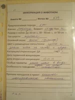  описание.webp