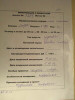 Мирта описание.JPG