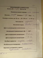  описание.webp