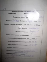  описание.webp