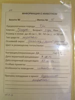  описание.webp