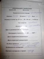  описание.webp