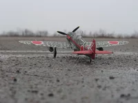 IMG_3925k.webp