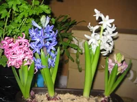 IMG_5364.jpg