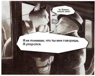 .webp