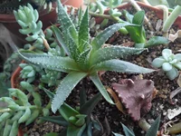 это 2.webp это 2.webp