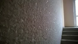 WP_20140220_001.webp