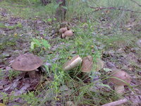 06062012408.jpg