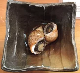 DSCN2074.webp