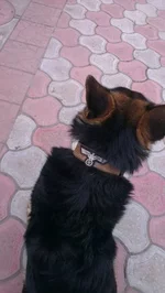 IMAG0230.webp