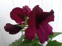 2014-02-27 10.25.26.webp