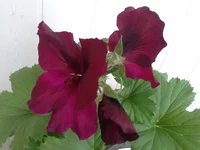 2014-02-27 10.25.01.webp