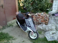 0041_001.webp