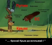 c487961bc68b.webp
