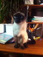  (26).webp