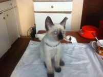  (24).webp