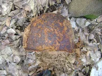 DSC01836.jpg