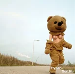 1246800211_pic_id427504.webp