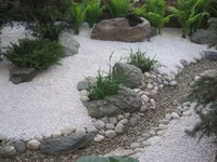 d82113.webp