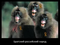 rus.webp