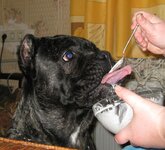 IMG_0478.jpg