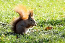 DSCF1259.webp