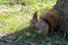 DSCF1238.webp