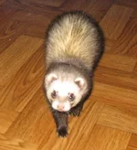 !.webp