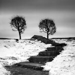 Киев66--02_BW_1.jpg
