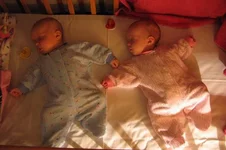 IMG_3019_f.webp