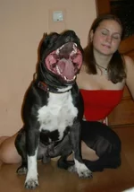 djun.webp