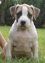 337_other3.webp