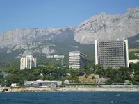 12.webp