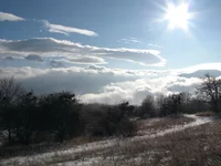 09010213586.jpg