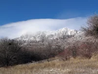 09010213587.jpg