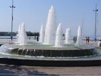 17.webp