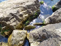 19.webp