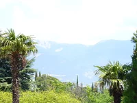 23.webp