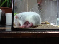  с детками.webp