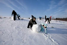 IMG_2173.webp