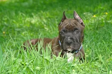 215_other2.webp