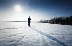 _DSC0522.webp