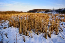 DSC16340.webp