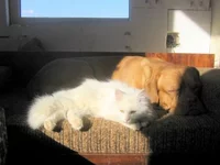 x_3758dc1f.webp