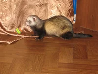 IMG_3641.webp
