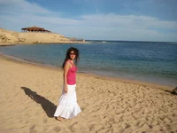  206 м.webp
