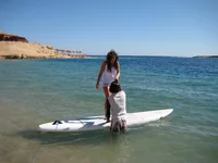  351 м.webp