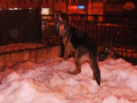 IMG_0116.webp