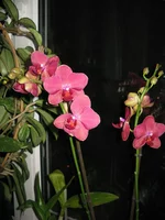  004.webp