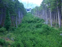 CIMG0121.webp